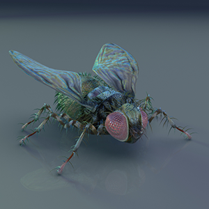 Mike McFadyean Creative 3D
