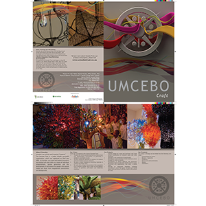 Mike McFadyean Brochure Design