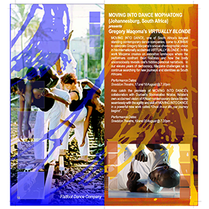 Mike McFadyean Brochure Design
