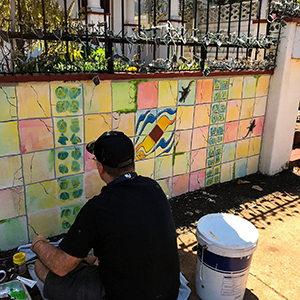 Mike McFadyean Murals