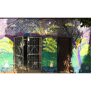 Mike McFadyean Murals