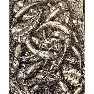 Mike McFadyean Pencil and Pen Art and Illustration