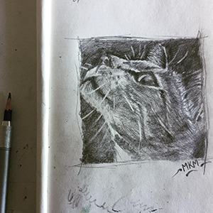 Mike McFadyean Pencil and Pen Art and Illustration