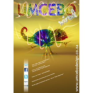 Mike McFadyean Poster Design