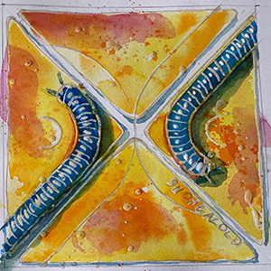 Mike McFadyean Watercolour Art and Illustration