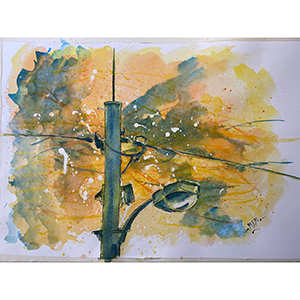 Mike McFadyean Watercolour Art and Illustration