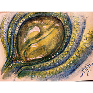 Mike McFadyean Watercolour Art and Illustration