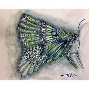 Mike McFadyean Watercolour Art and Illustration